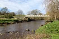 Footbridge-Thornrigg is behind the tree on the left