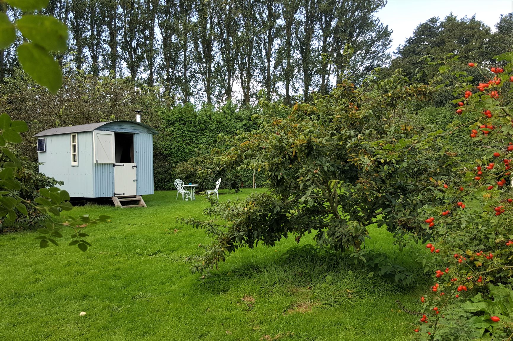 Shepherd's Hut at Coldwell Farm, Leominster