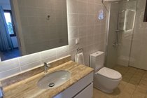 Shower Bathroom 1