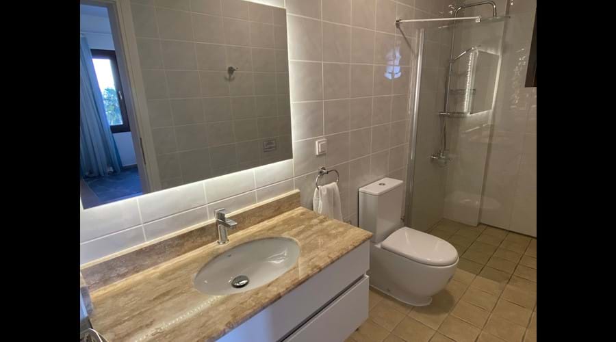 Shower Bathroom 1
