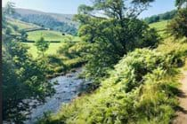 riverside-walk-along-the-dales-way