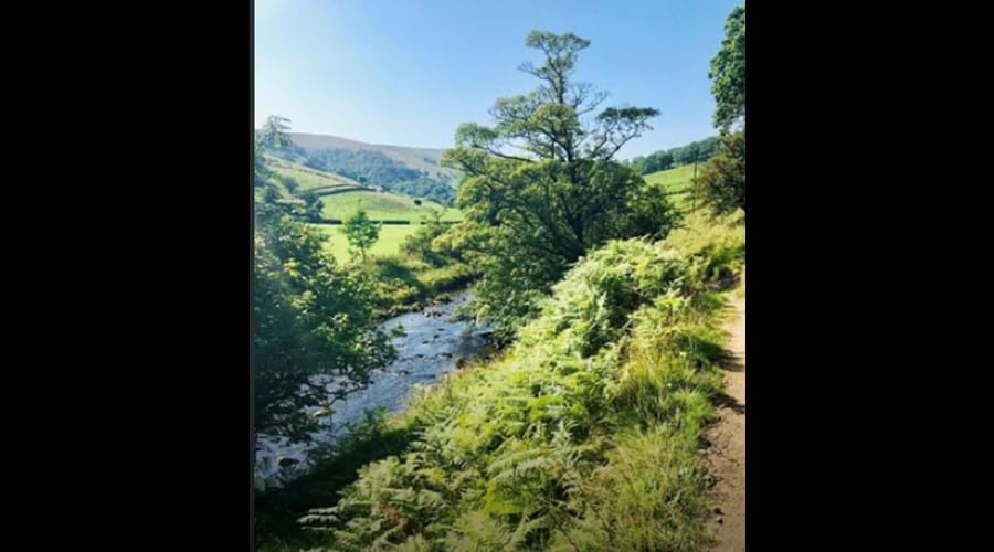 riverside-walk-along-the-dales-way