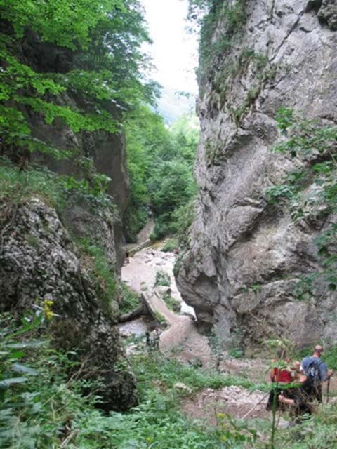 Gola dell