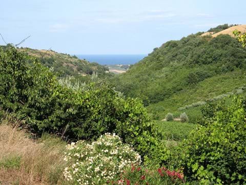 View to the sea from villa