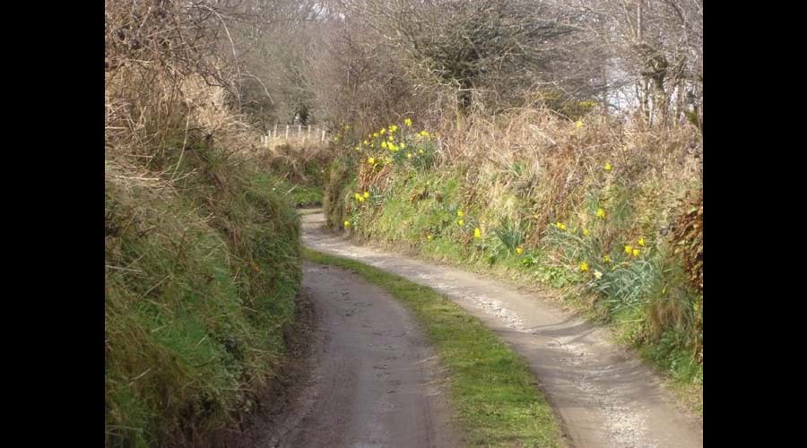 Halwin Lane, leading to Halwin Lane Farm