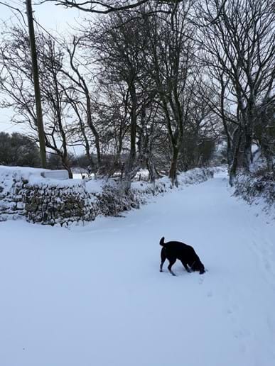 Halwin Lane in the snow