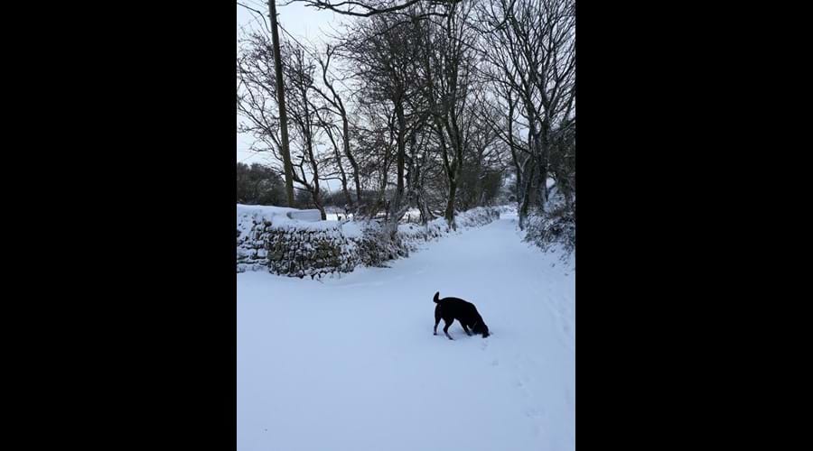 Halwin Lane in the snow