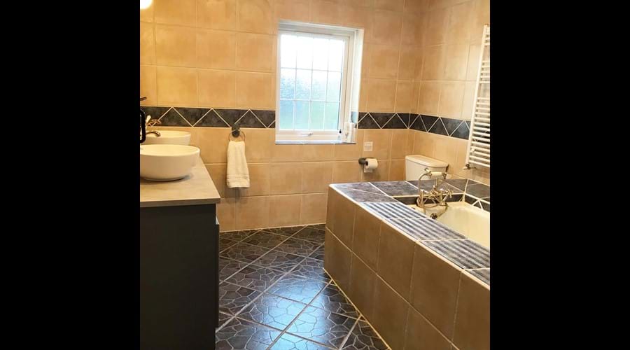 Master bathroom (downstairs)