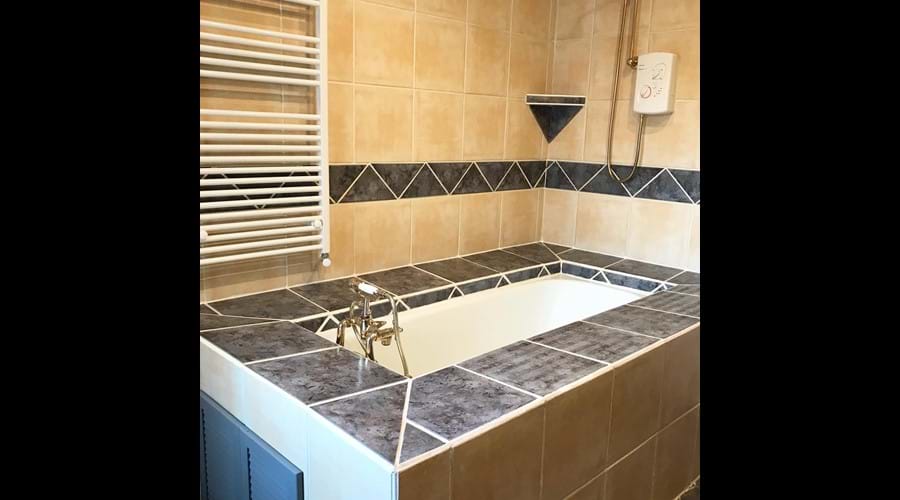 Master bathroom (downstairs)