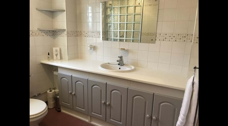 Wet room (downstairs)