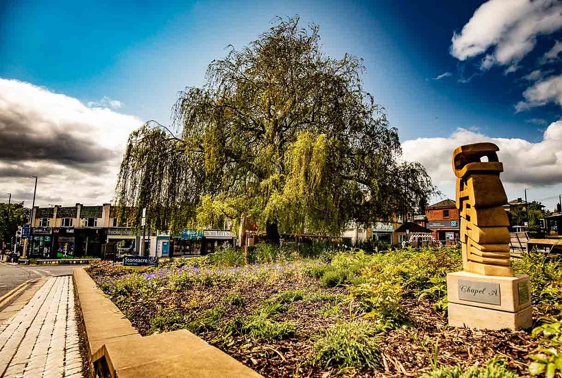 RJ Heald Photography