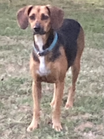 The chancer and the faker that is Pancake - read our blog...