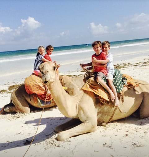 Camel Rides, Diani Beach