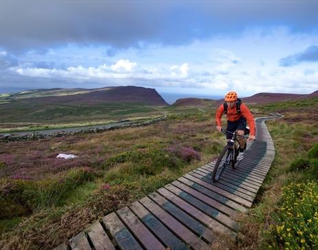 Mountain Biking Isle of Man