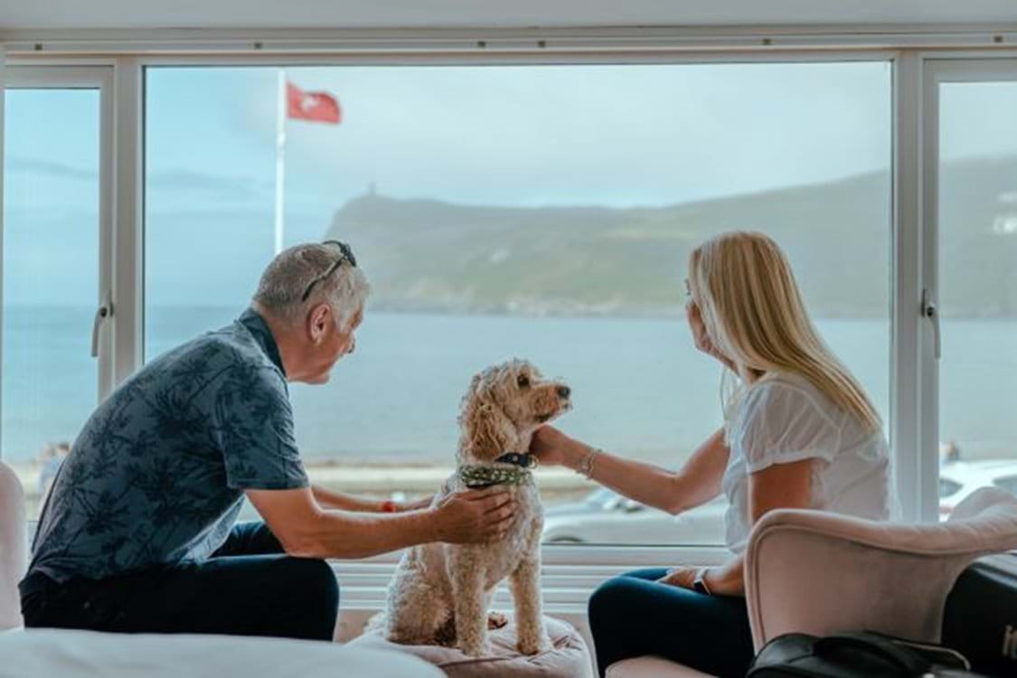 Isle Of Man Dog Friendly Accommodation Seasidecottages im isle-of-man-dog-friendly-accommodation-seasidecottages-im
