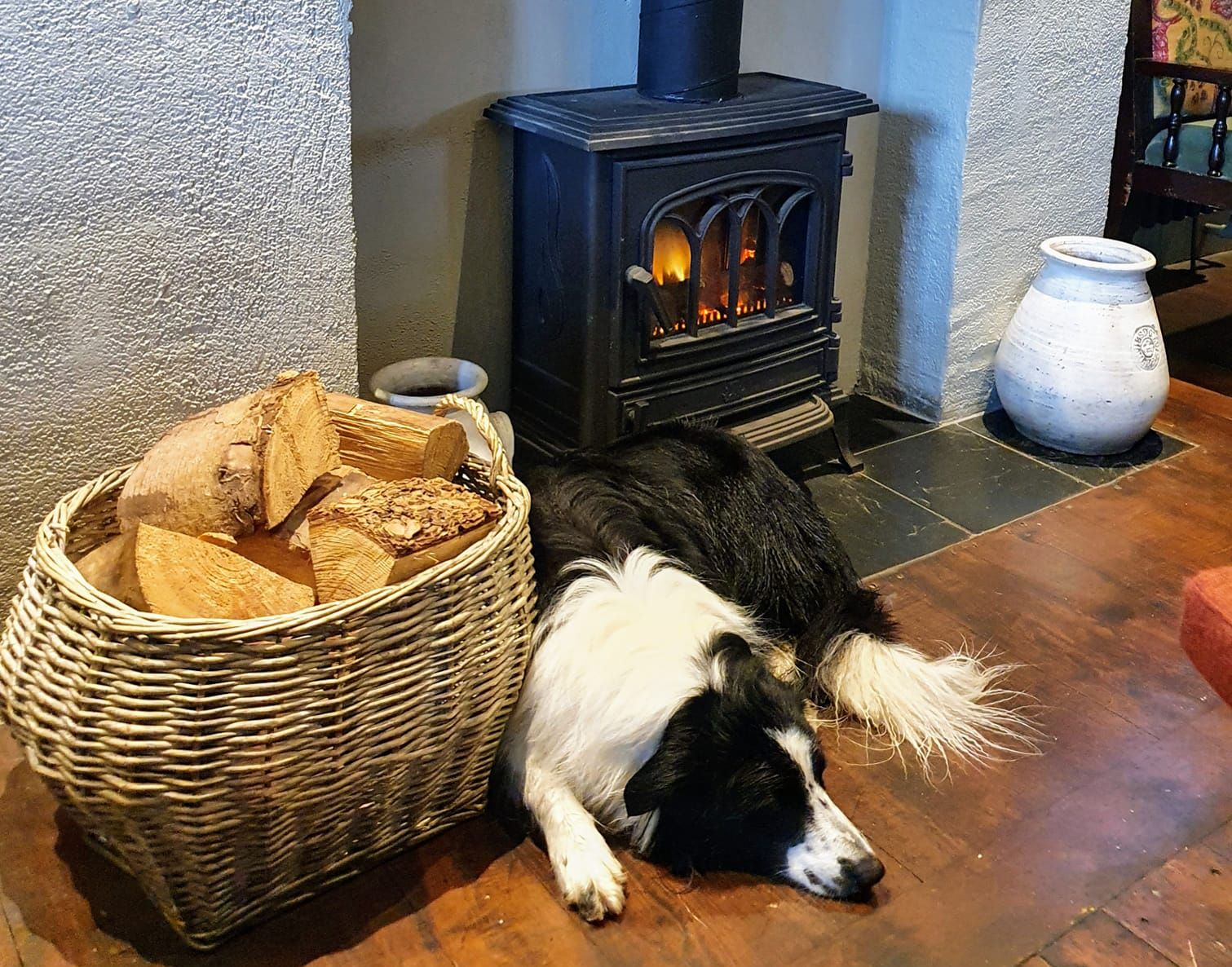 Dogs Welcome in Isle of Man Pubs 