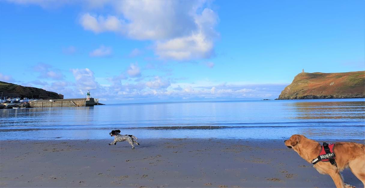 Beach Cottage Isle Of Man beach-cottage-isle-of-man
