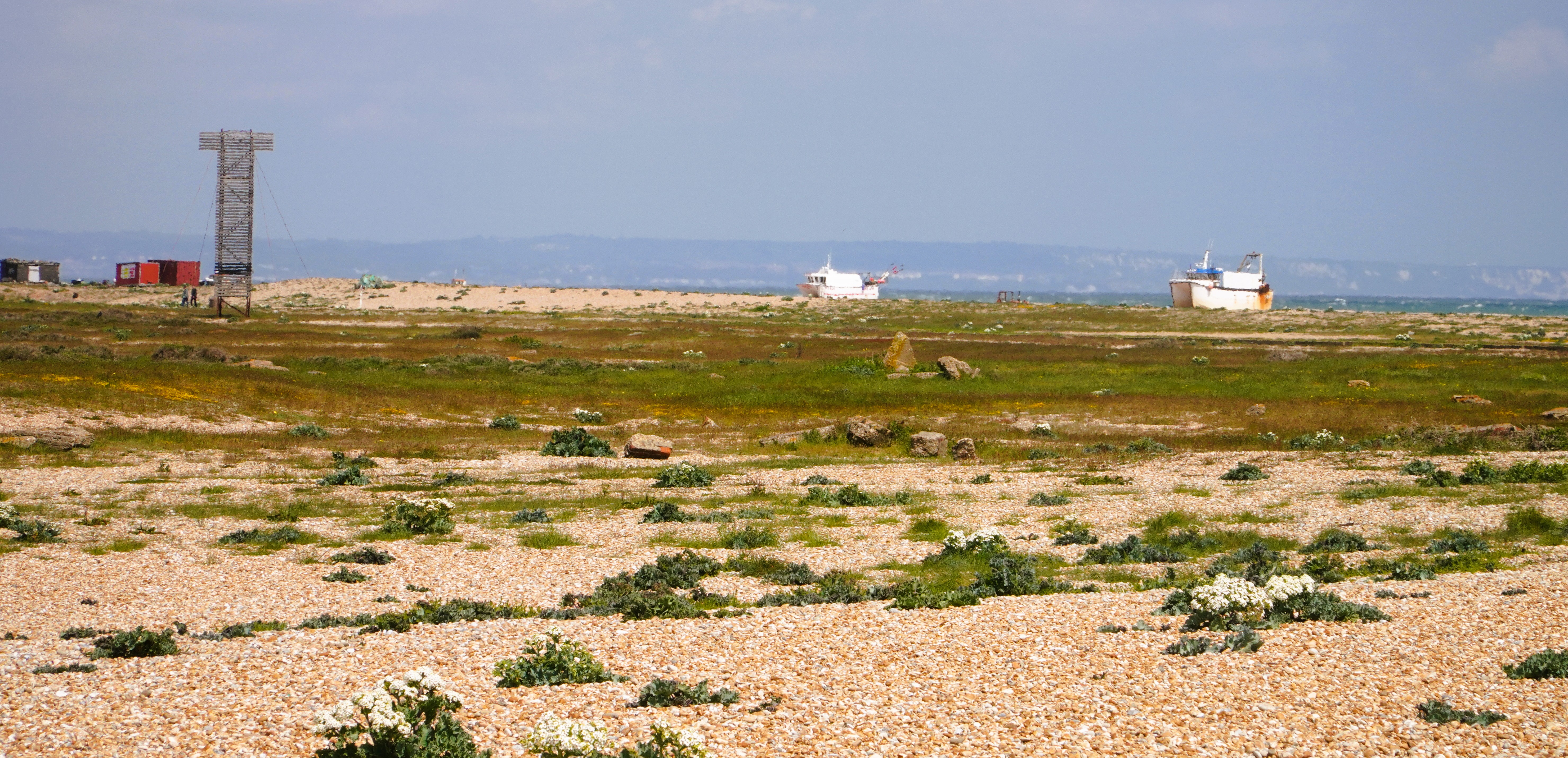 Dungeness desert