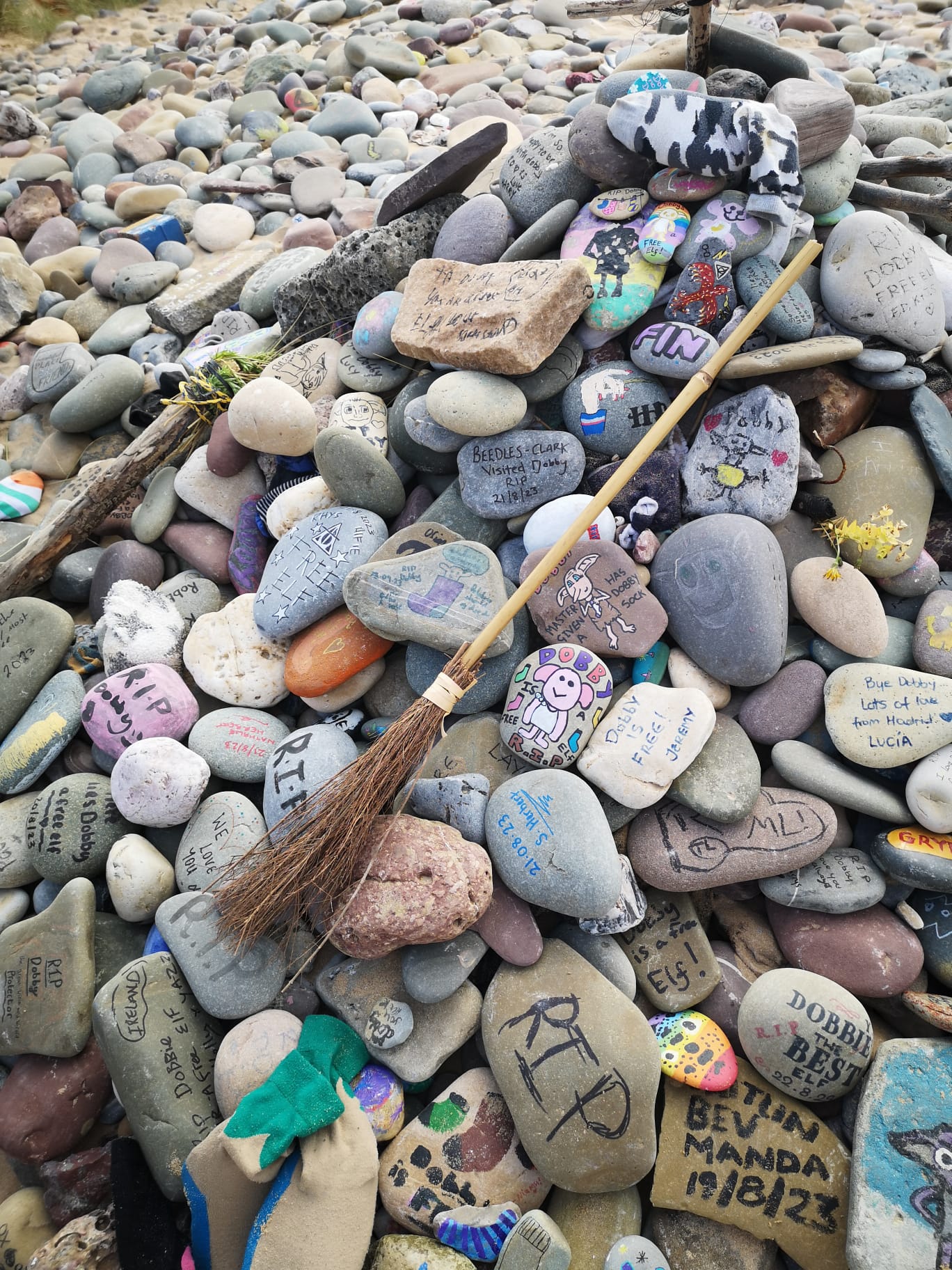 Calling all Harry Potter fans - go in search of Dobby