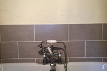 Downstairs bathroom with bath and separate shower