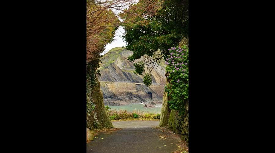 Around Ilfracombe