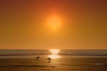 Sunset and surfers at Woolacombe