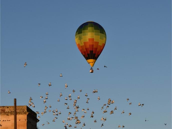 Hot air balloon in a flock of birds over Arcos de la Frontera Photo