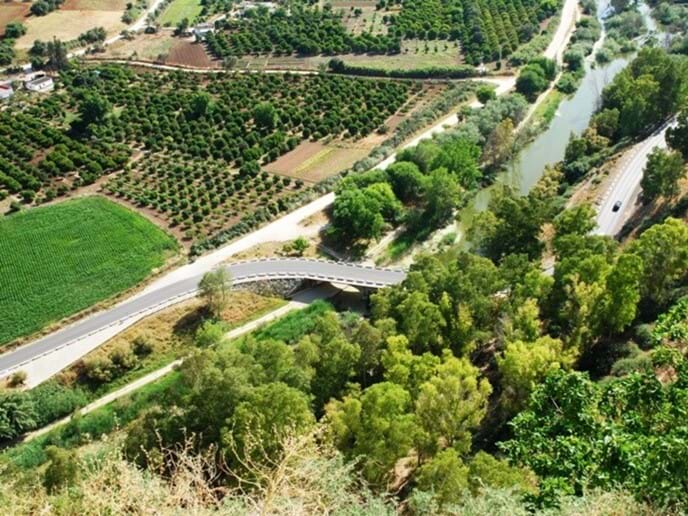 View of verdant orange groves below the terrace at holiday let Casa Vista Castillo Photo