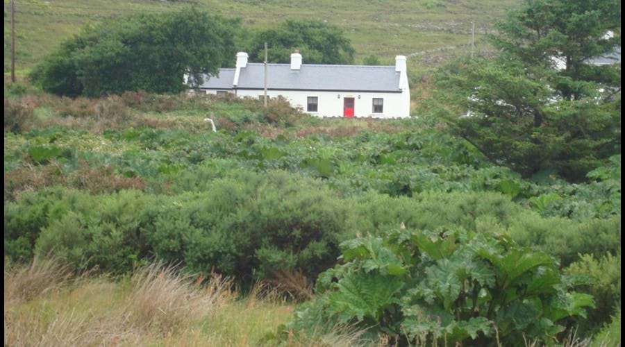 View of the cottage from the bridge over the river (Road)
