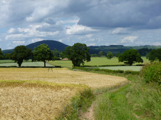 The Shropshire Countryside