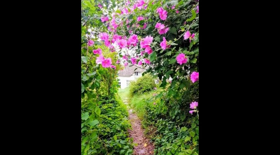 View of the cottage from the garden path