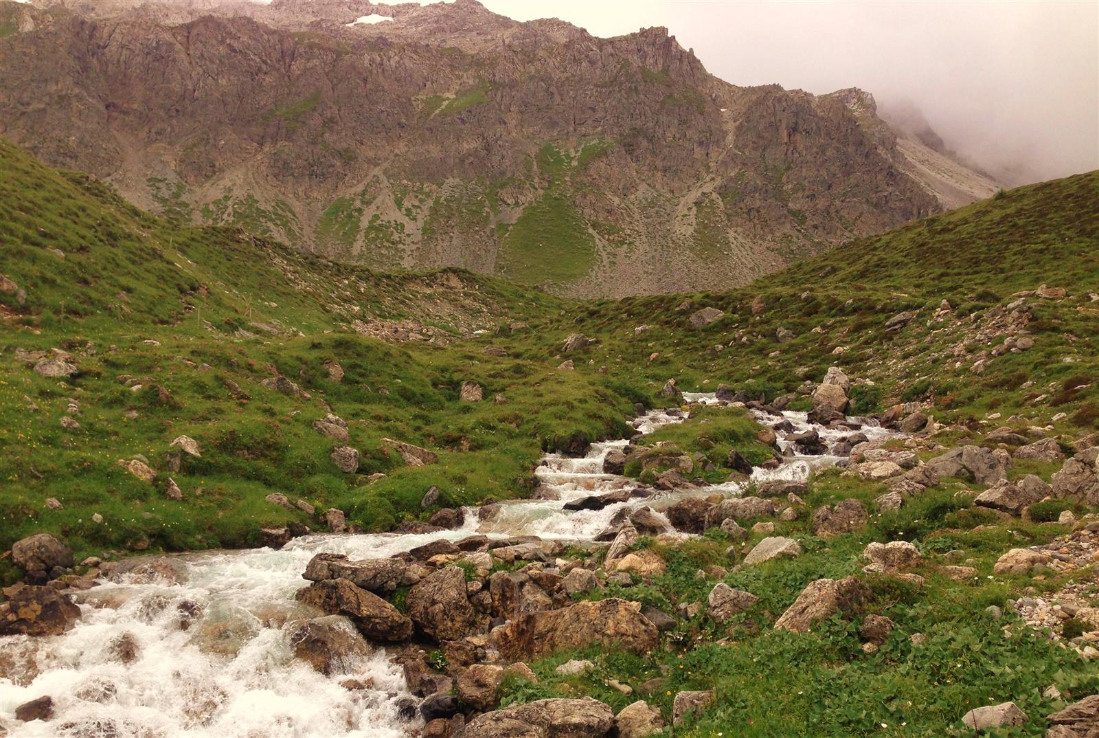 Header Image