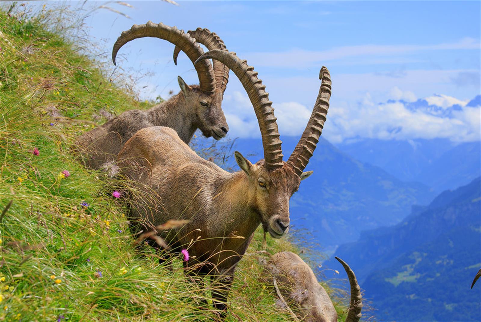 0, 0, 1600, 1073, 1026, 688