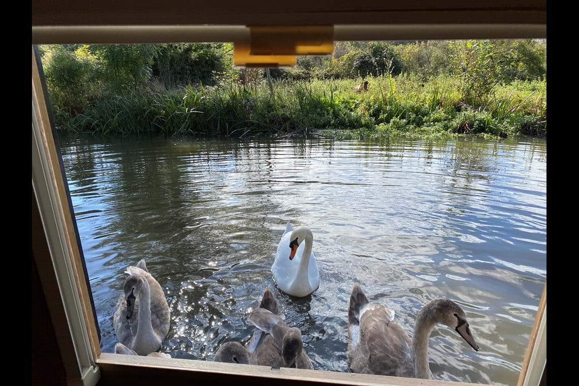 Photos Willow Boat Hire