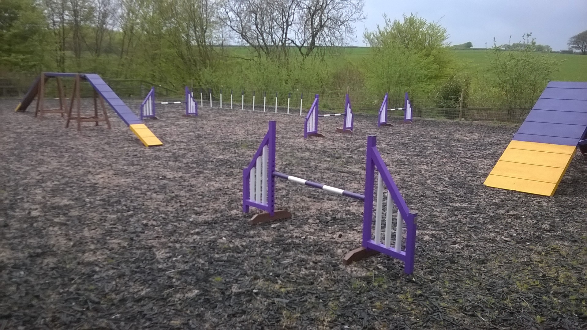 Agility Equipment