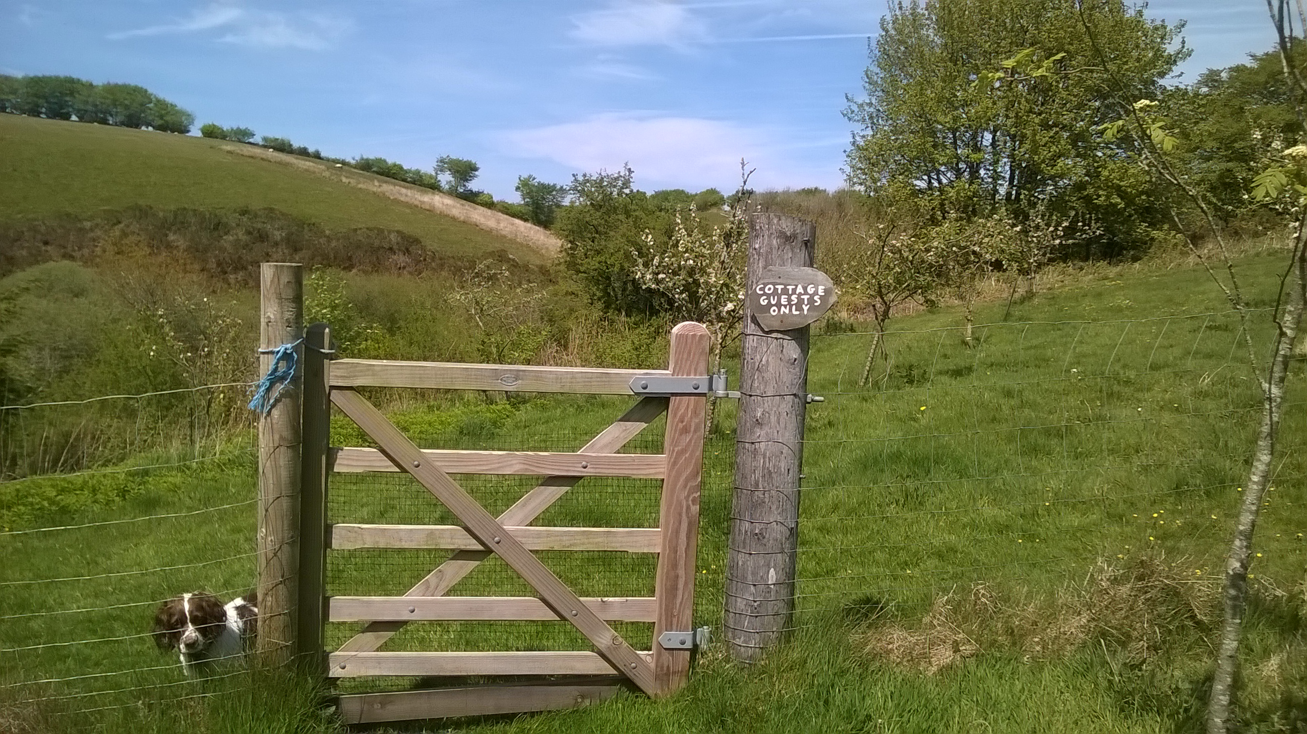 Orchard gate