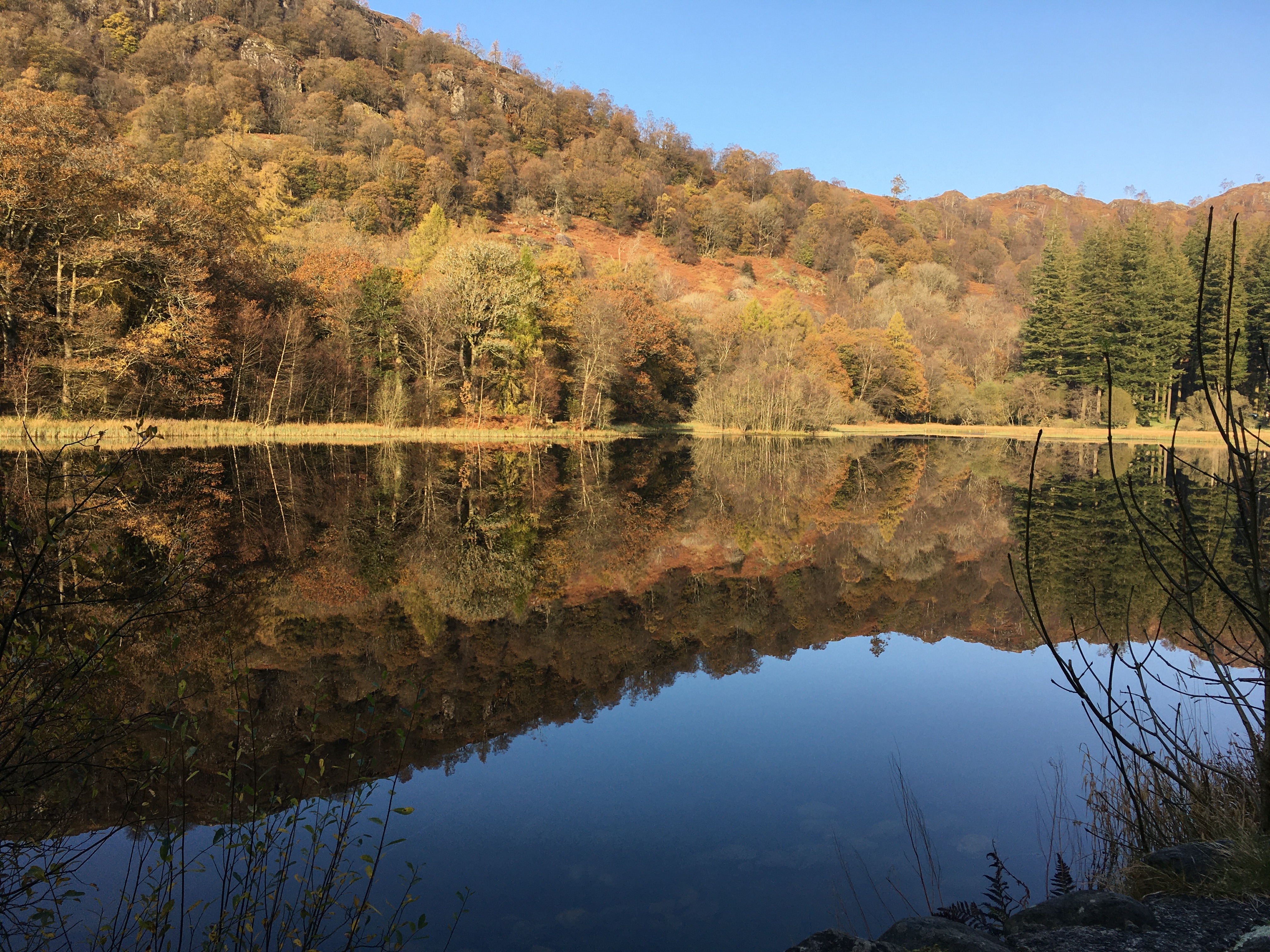 Yew Tree Tarn near Coniston