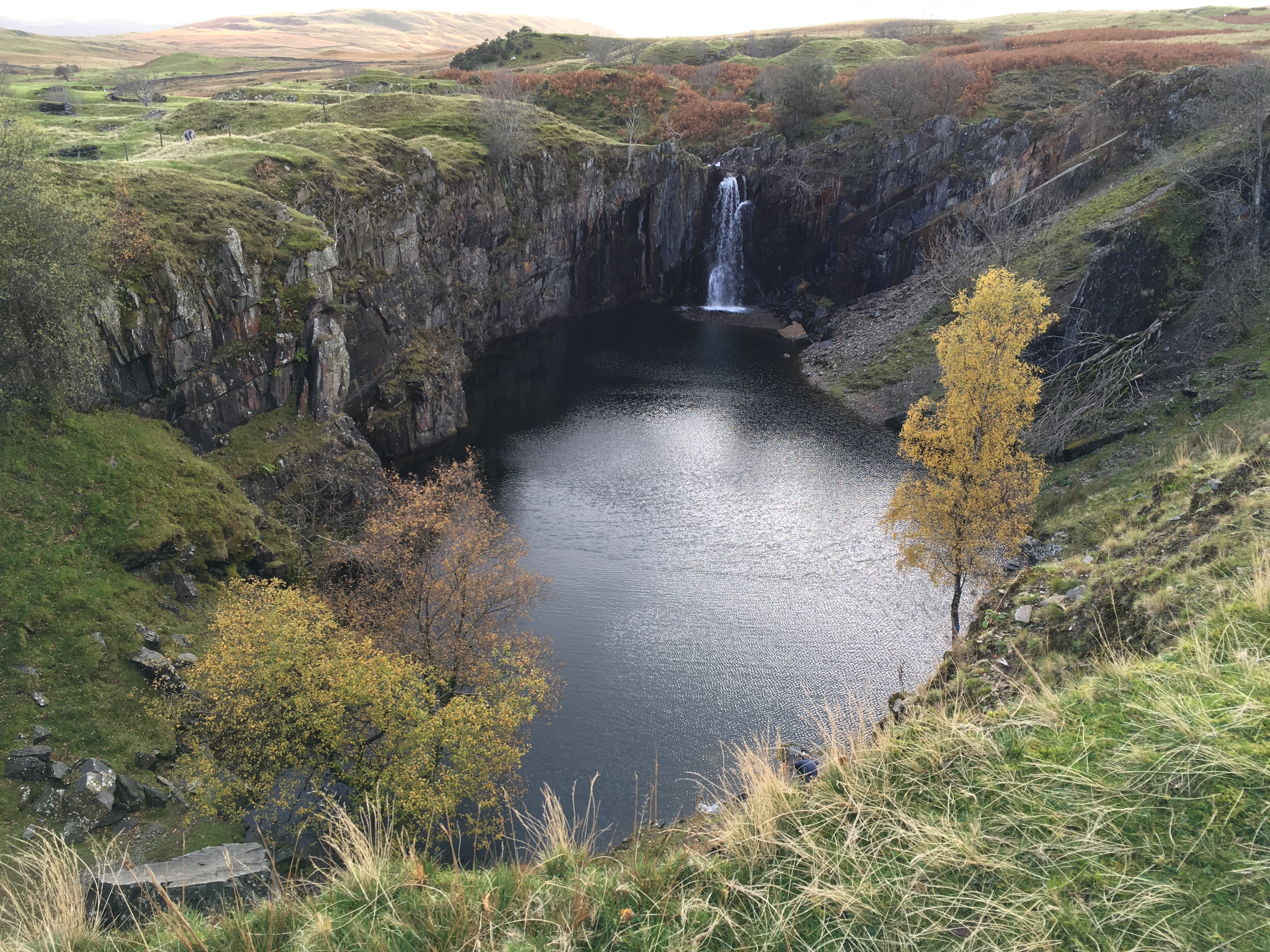 Banishead Quarry near Torver