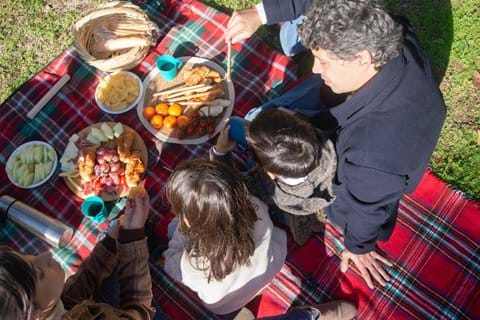 Enjoy a family picnic