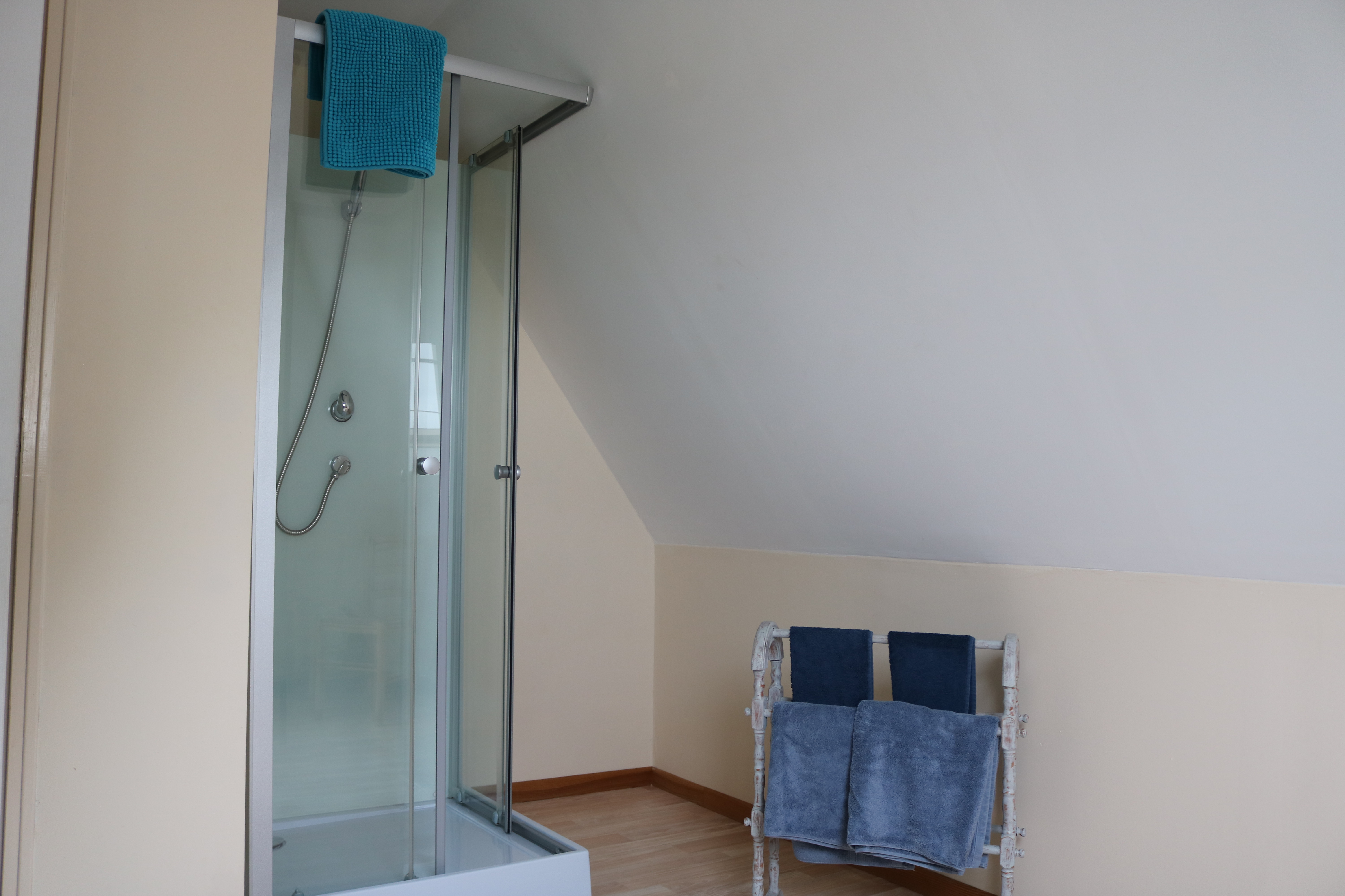 Antoine upstairs Bathroom shower