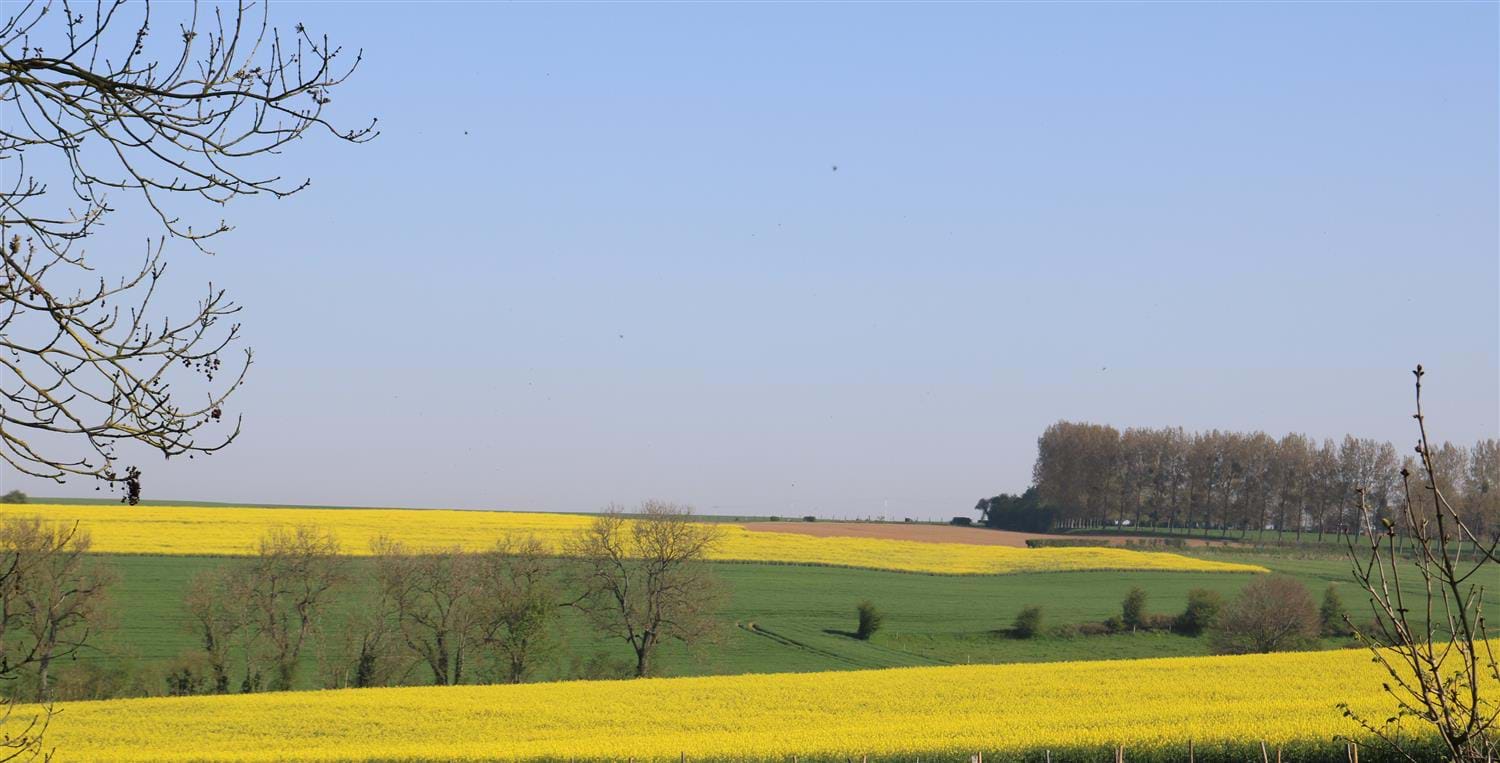 Rental Rates Antoine de Brabant