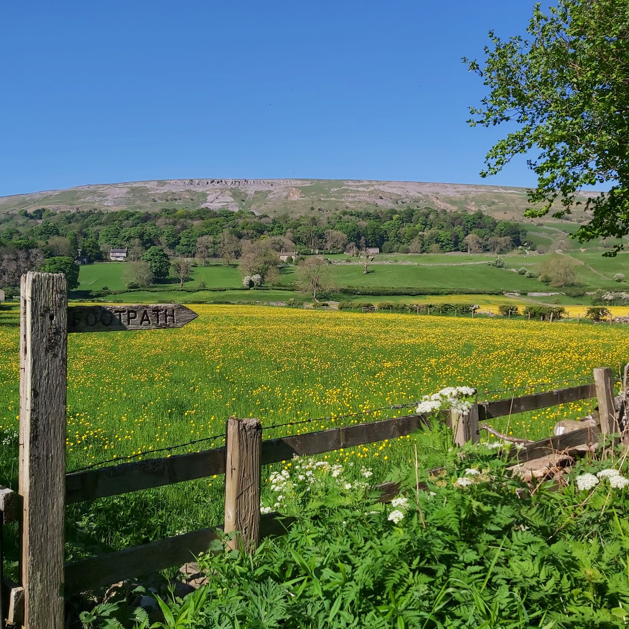 Start of the riverside walk - 2 minutes from the cottage