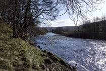 The River Swale flowing  through Grinton