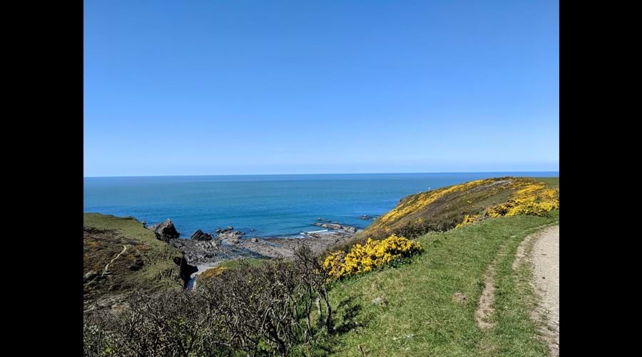 Hartland Quay to Hartland Point