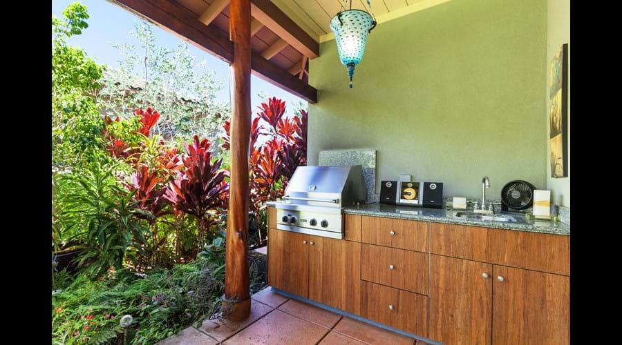 Your own private Viking BBQ grill