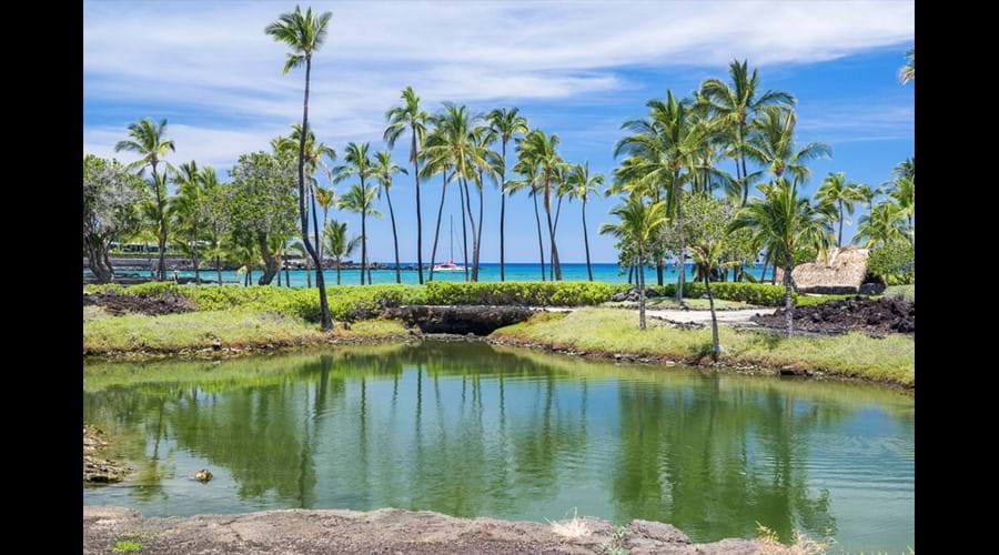 Ancient Hawaiian Fish Ponds at the Mauna Lani Beach Club