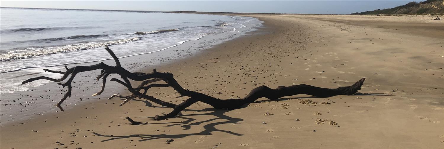 11, 969, 1500, 503, 3723, 1246