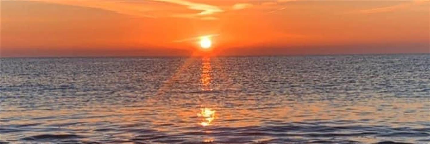 14, 279, 1500, 503, 723, 242