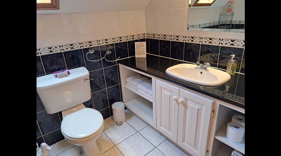 The family bathroom