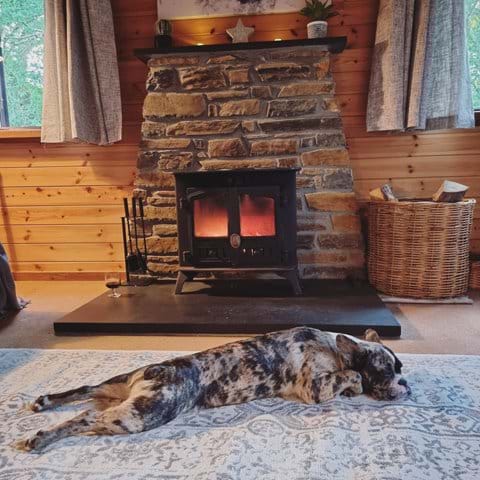 Snooze approved fire!